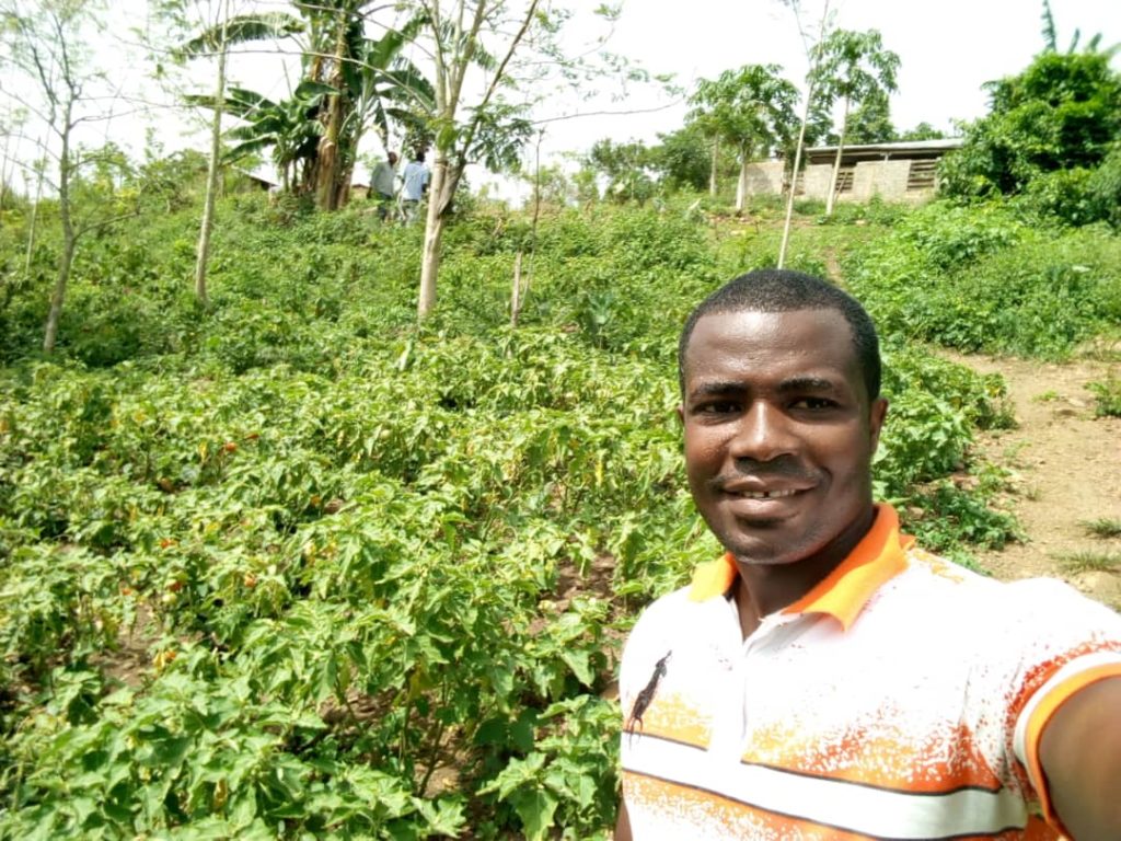 Togo//Agroécologie : un jeune agripreneur togolais raconte son expérience