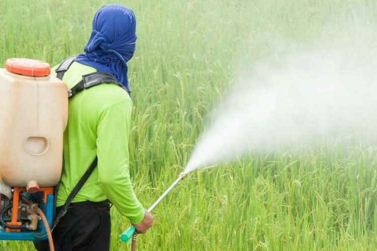 Agriculture : enfin! Le glyphosate est banni du Togo!