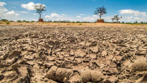 17 juin// Journée mondiale de lutte contre la désertification et la sécheresse: comment la désertification menace la sécurité alimentaire?