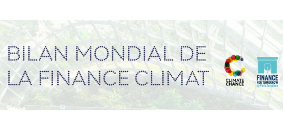 Environnement/ Climat: publication du bilan mondial  de la finance Climat 2020