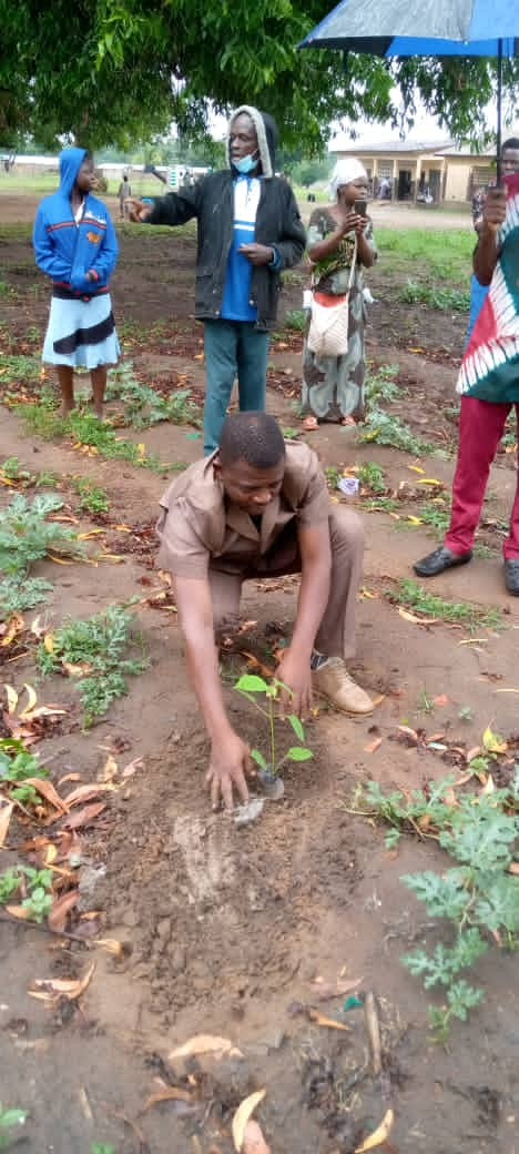 Journée de l’arbre: le CEJP-Sokodé met en terre de jeunes plants à Tchaoudjo 2