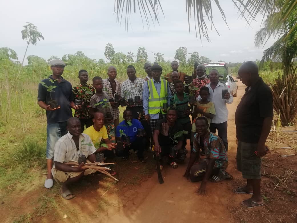 Togo/ Préfecture de Vo: grande campagne de reboisement à Assiwloin