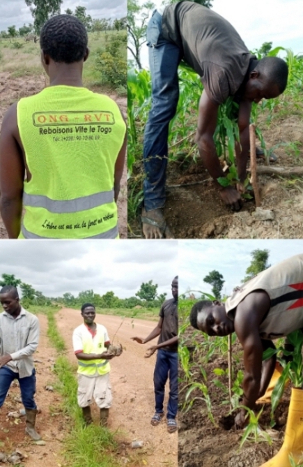 Togo : Restauration des aires protégées de Naboulgou (Oti-Kéran) ﻿