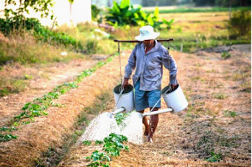 Une application de la PIA pour accompagner les agriculteurs