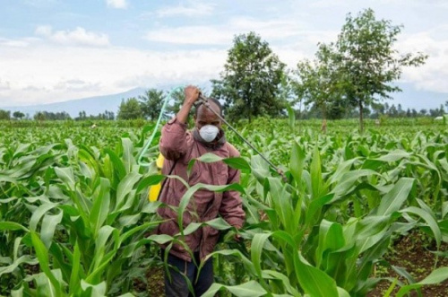 Une réunion régionale portant sur les engrais et la fertilisation a été annoncée à Lomé