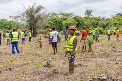 Le Togo inaugure sa campagne de reboisement annuelle lors de la Journée de l’Arbre