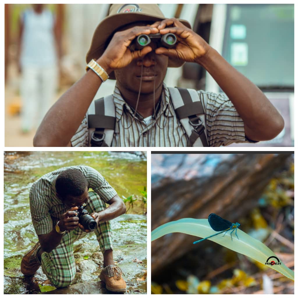 Découvrez le monde à travers les yeux d’un jeune photographe animalier Togolais passionné