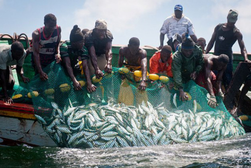 Le Togo s’engage vers une pêche durable en préparant la ratification de la convention de l’OMC sur les subventions