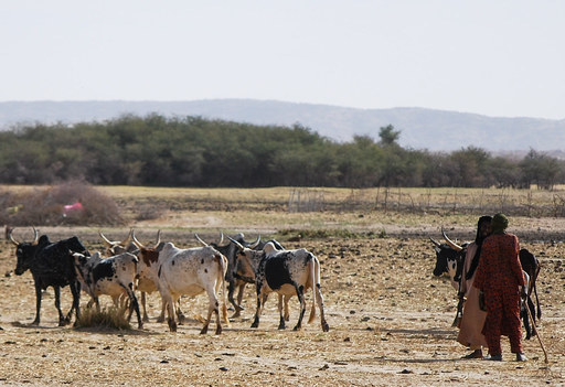 Une vague de chaleur sans précédent au Sahel : le changement climatique en cause