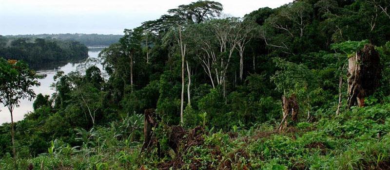 Lomé accueille une rencontre régionale sur la biodiversité