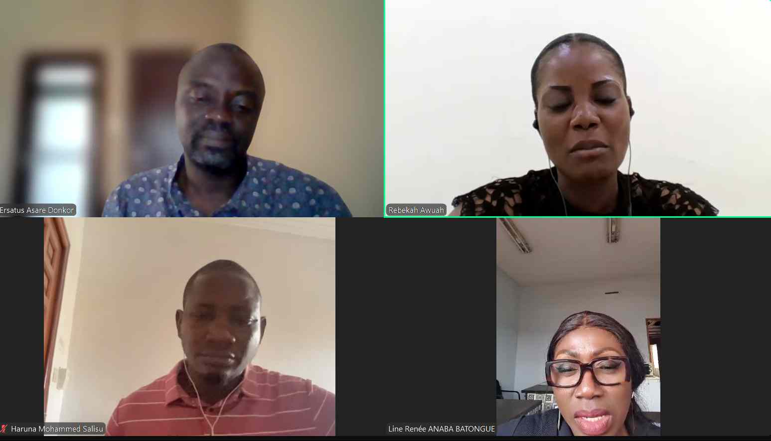 Journalisme et crises environnementales en Afrique : recommandations d’un webinaire de MFWA