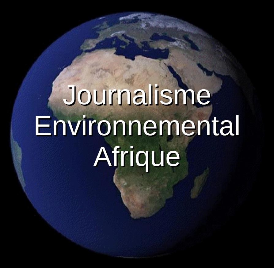 AFRIQUE : les causes de l’abandon du journalisme environnemental