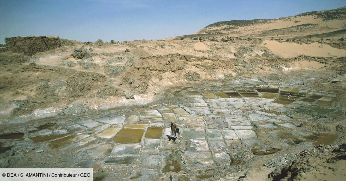 Tragédie environnementale au Niger