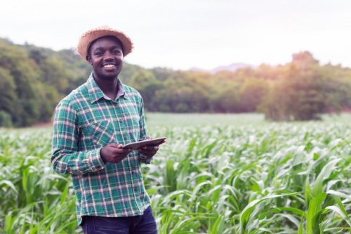 Le Ministère de l’agriculture du Togo lance un recrutement massif de techniciens