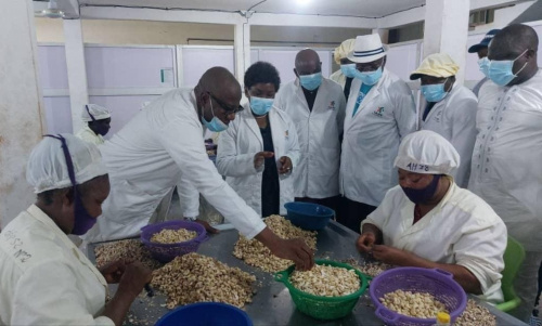 Togo: la ministre du commerce en visite à l’usine de transformation de l’anacarde « Cajou du centre »