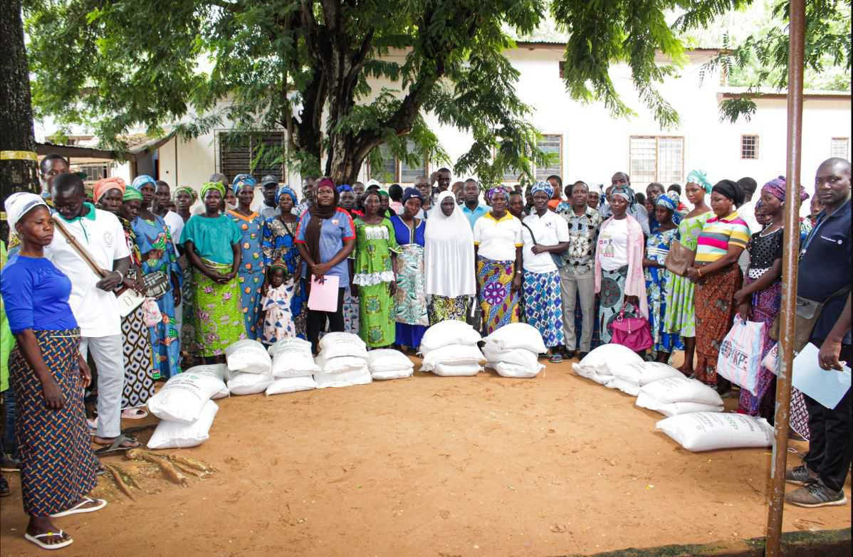 Intensification des efforts pour la sécurité alimentaire au Togo