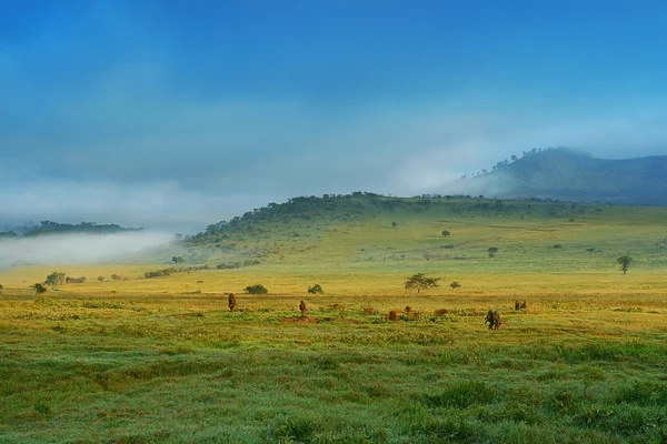 Agriculture durable : faire de l’Afrique le futur grenier du monde