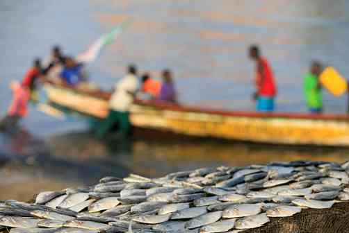 Les défis et adaptations des pêcheurs Togolais face au changement climatique