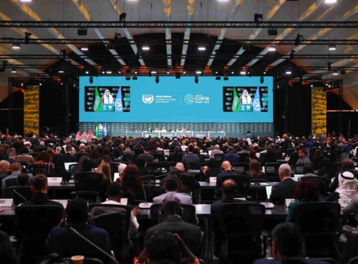 COP16 : des engagements majeurs pour lutter contre la sécheresse et la désertification