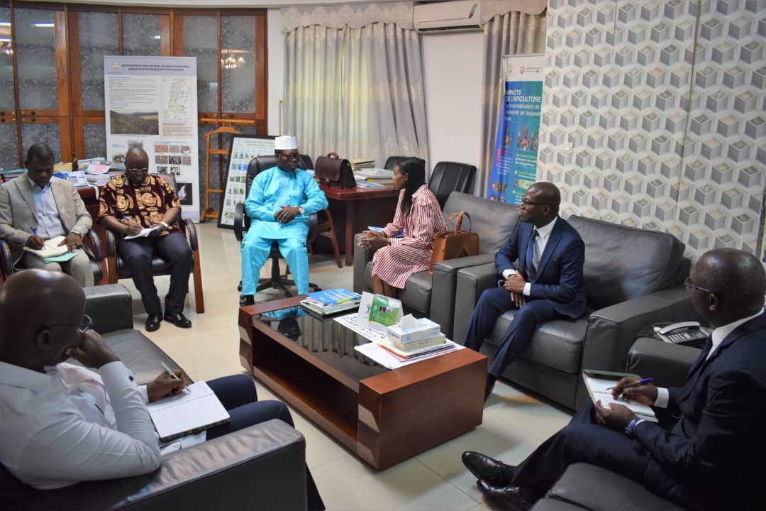 Togo: Stärkung der Umweltzusammenarbeit mit den Vereinten Nationen