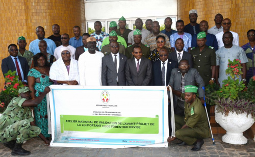 Évolution de la réglementation du secteur forestier au Togo Évolution de la réglementation du secteur forestier au Togo