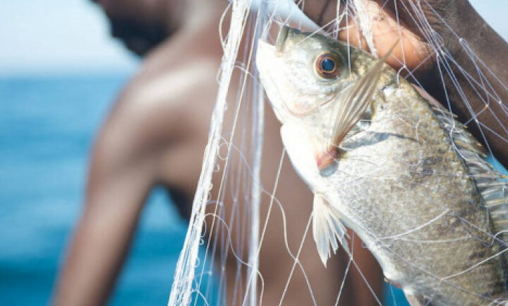Annonce du repos biologique pour la pêche au Togo