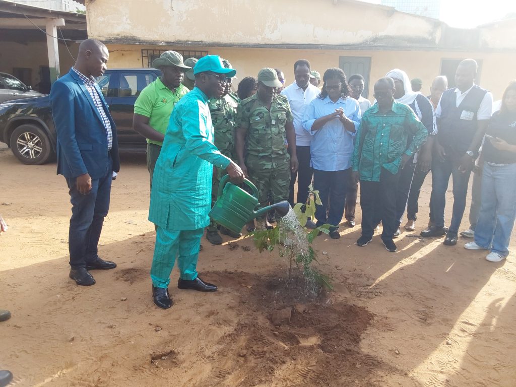 Togo : l’édition 2025 de la campagne de reboisement lancée, cap sur un milliard d’arbres d’ici 2030 Togo : l’édition 2025 de la campagne de reboisement lancée, cap sur un milliard d’arbres d’ici 2030