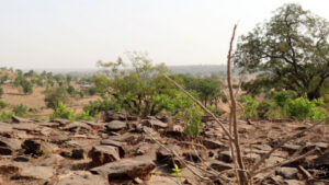 Togo : lancement d’un nouveau projet de restauration des terres
