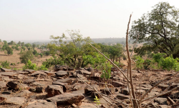 Togo : lancement d’un nouveau projet de restauration des terres