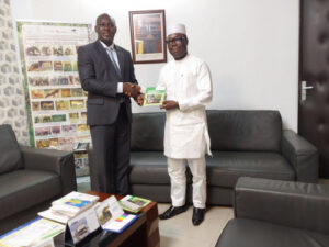 Le Togo adopte une stratégie nationale pour le développement du secteur du bambou et du rotin