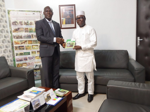 Le Togo adopte une stratégie nationale pour le développement du secteur du bambou et du rotin