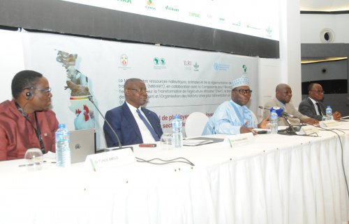 Togo : une mobilisation nationale pour booster l’élevage Togo : une mobilisation nationale pour booster l’élevage