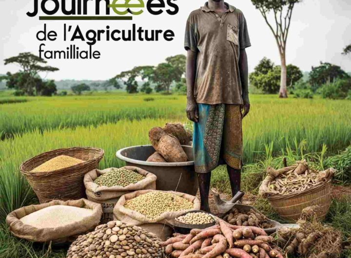 Togo : les journées de l’agriculture familiale lancées pour booster la résilience des exploitations familiales
