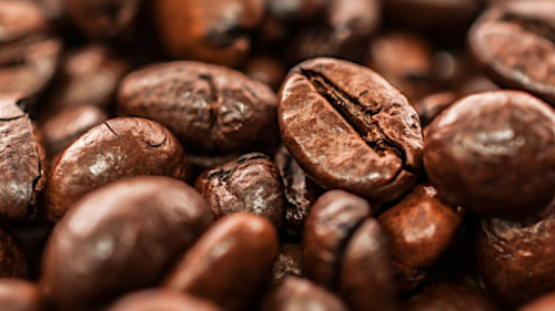 Togo : progrès des exportations de café et de cacao