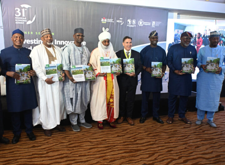 Rapport sur la sécurité alimentaire au nord du Nigéria