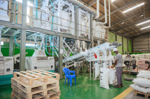 Le Togo renforce sa résilience alimentaire avec de nouvelles unités de transformation