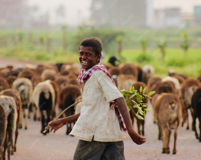 Togo : vers une stratégie nationale de gestion de la transhumance (2026-2030)