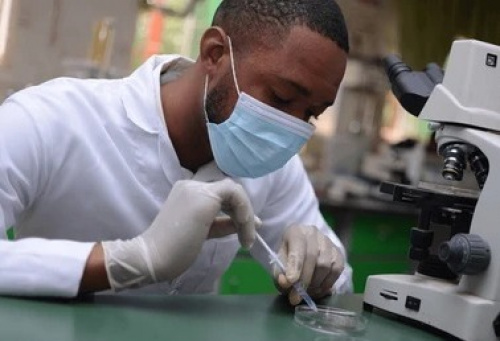 Bourses d’études : le Togo soutient Master, Doctorat et spécialisation médicale