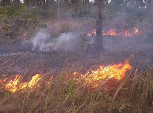 Feux précoces au Togo : chronogramme 2025-2026 dévoilé