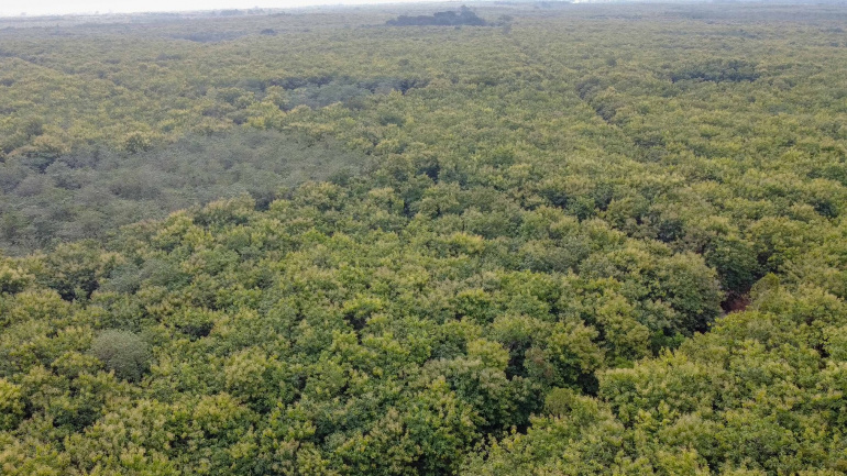 Ouverture d&rsquo;un concours national de recrutement de fonctionnaires au Togo