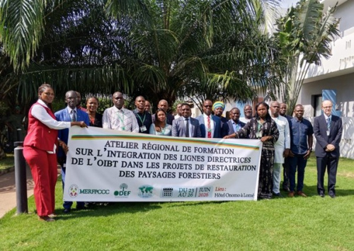 Restauration forestière : Lomé au cœur d&rsquo;une grande mobilisation africaine
