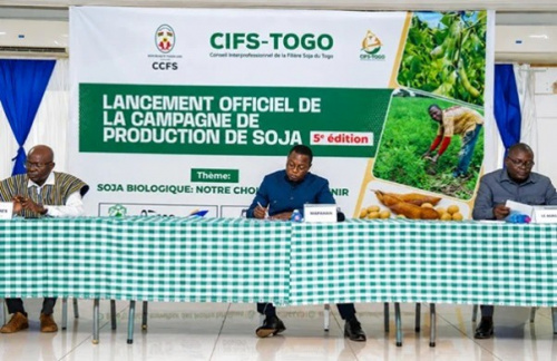 Togo : lancement de la campagne soja 2026-2027 avec un objectif de 300.000 tonnes