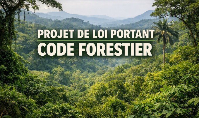 Nouveau code forestier au Togo