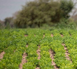 Togo : lancement de la plateforme AdapTogo pour le suivi climatique
