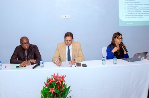 Cuisson propre : le Togo avance vers un programme national d’accès universel à l’horizon 2030