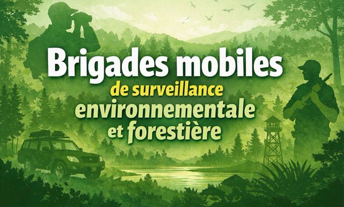 Le Togo met en place des brigades mobiles de surveillance environnementale et forestière