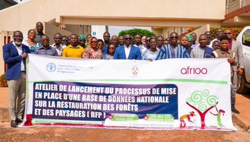 Forêts : le Togo se dote d’un outil de suivi