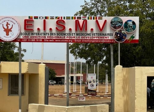 Appel à candidatures pour des bourses d&rsquo;études à l&rsquo;EISMV de Dakar