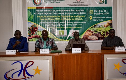 Renforcement de l&rsquo;agriculture face au changement climatique au Togo