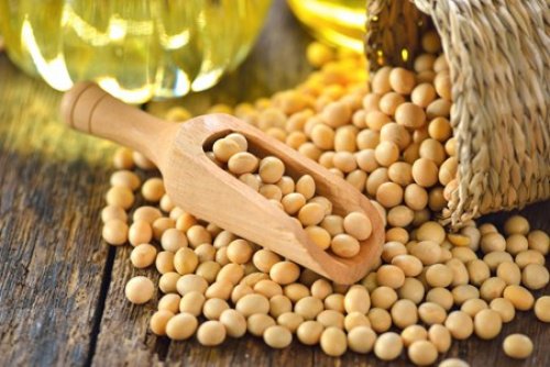Le soja togolais fait un pas vers le marché chinois